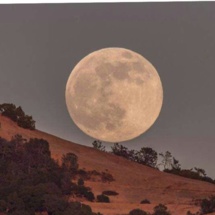 World looks up to gaze at extra bright 'supermoon' World looks up to gaze at extra bright 'supermoon'