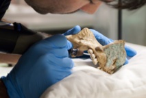 Ancient Mixtec skull art a forgery: Dutch museum