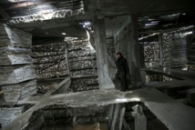 Artist brings beauty to war-damaged Gaza home Artist brings beauty to war-damaged Gaza home