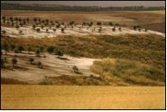 Spain to set up climate change research institute Spain to set up climate change research institute
