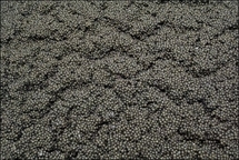 Let poor eat caviar: Milan authorities Let poor eat caviar: Milan authorities