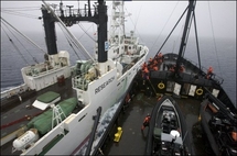 Japanese whalers get reprieve as protest ship refuels Japanese whalers get reprieve as protest ship refuels