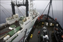 Japanese whalers get reprieve as protest ship refuels