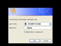 Favorite passwords: "1234" and "password"