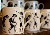 US scientists defend Darwin from attacks on evolution