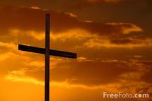 US Catholic church paid 436 mln dlrs for abuse cases US Catholic church paid 436 mln dlrs for abuse cases