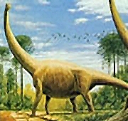 Long-necked dinos didn't reach for the skies Long-necked dinos didn't reach for the skies