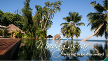 Crisis-hit Madagacar offers free visas to boost tourism Crisis-hit Madagacar offers free visas to boost tourism
