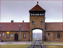 Workers find message in an Auschwitz bottle