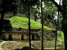 Ancient 'hobbit' humans a new species after all: study Ancient 'hobbit' humans a new species after all: study
