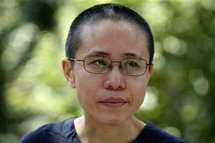 Chinese intellectuals call for release of dissident