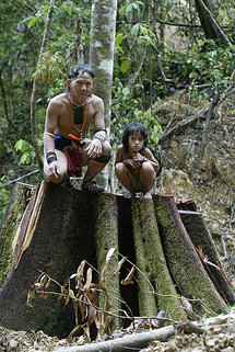 The last of their kind: the nomads of Borneo The last of their kind: the nomads of Borneo
