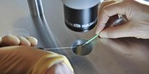 Polish parliament rejects outlawing IVF Polish parliament rejects outlawing IVF
