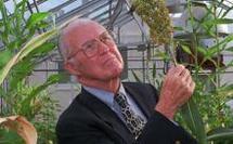 Borlaug, father of Green Revolution, dies at 95 Borlaug, father of Green Revolution, dies at 95