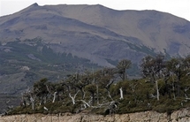 Developing nations join West in deforestation fight Developing nations join West in deforestation fight