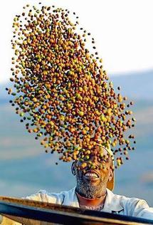 A few coffees a day keep liver disease at bay: study A few coffees a day keep liver disease at bay: study