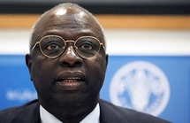 UN food summit may be 'waste of time': aid groups UN food summit may be 'waste of time': aid groups
