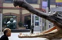 Five strange ancient crocs found in Sahara desert Five strange ancient crocs found in Sahara desert
