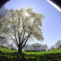 The White House. The White House.