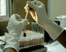 New Zealand man injects sleeping wife with HIV New Zealand man injects sleeping wife with HIV