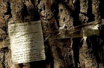 A poem dedicated to Lorca on a tree in the park where the poet is believed to be buried A poem dedicated to Lorca on a tree in the park where the poet is believed to be buried