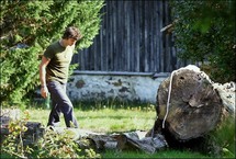 Bertrand Cantat Bertrand Cantat