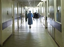 Several diseases form deadly brain cancer: study Several diseases form deadly brain cancer: study