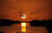 High levels of vitamin D cut risk of colon cancer: study High levels of vitamin D cut risk of colon cancer: study