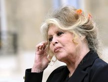 Brigitte Bardot Brigitte Bardot