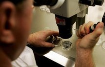 An embryologist examines a dish with human embryos under a microscope at an in-vitro fertilization clinic in 2007 An embryologist examines a dish with human embryos under a microscope at an in-vitro fertilization clinic in 2007