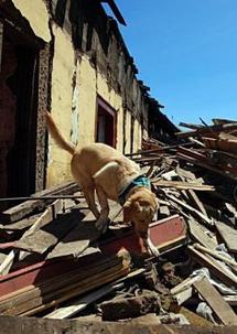 Chile declares period of mourning Chile declares period of mourning