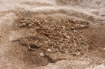 Decapitated skeletons were Vikings: scientists Decapitated skeletons were Vikings: scientists