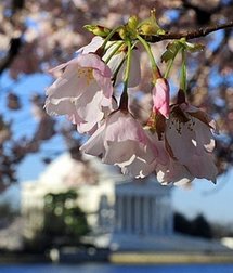 (AFP/File/Karen Bleier) (AFP/File/Karen Bleier)