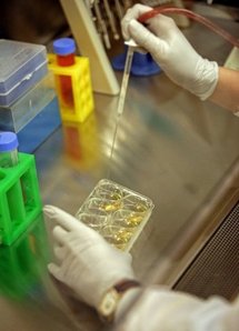 Gene mutation ups women's risk of double breast cancer Gene mutation ups women's risk of double breast cancer