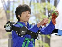 Japanese robo-suit promises superpowers for greying farmers Japanese robo-suit promises superpowers for greying farmers