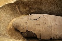 An Egyptian mummy inside a limestone sarcophagus, in 2009 An Egyptian mummy inside a limestone sarcophagus, in 2009