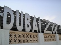 Animal rights activists banned from protest at Dubai zoo Animal rights activists banned from protest at Dubai zoo