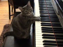 Beatles piano up for sale: auction house Beatles piano up for sale: auction house