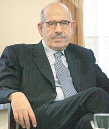 ElBaradei says government behind daughter's swimsuit photos