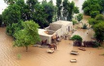 World cannot pay for Pakistan flood disaster: US envoy World cannot pay for Pakistan flood disaster: US envoy
