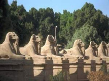 Sphinx-lined road unearthed in Egypt Sphinx-lined road unearthed in Egypt