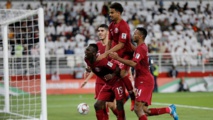 Acknowledgement of effort and limitations of UAE greets semi loss