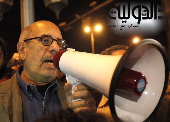 Egypt's ElBaradei says ready to form interim govt