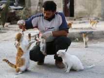 Syria's 'cat man' brings hope to abandoned animals in Idlib Syria's 'cat man' brings hope to abandoned animals in Idlib