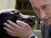 Putin says Russia 'would not refuse' G8 invite during Macron visit Putin says Russia 'would not refuse' G8 invite during Macron visit