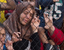 Turkey says talks with EU, Germany on migrants 'productive' Turkey says talks with EU, Germany on migrants 'productive'