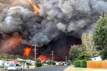 Smoke from Australian bushfires reaches South America, UN says