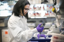 Pandemic pushing people towards making, using drugs, UN report says Pandemic pushing people towards making, using drugs, UN report says