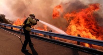 California fire caused by gender reveal party pyrotechnics