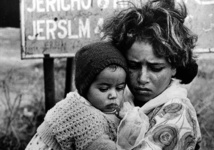 UN refugee agency unveils Palestinian archive UN refugee agency unveils Palestinian archive